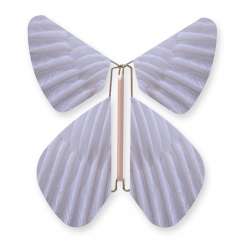 Image Papillon Magique