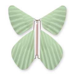 Image Papillon Magique