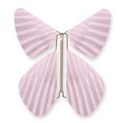 Image Papillon Magique