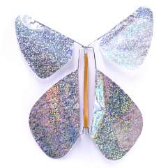 Image Papillon Magique