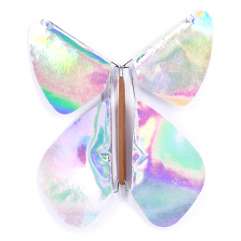 Image Papillon Magique