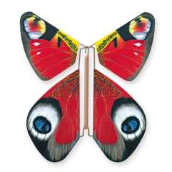 Image Papillon Magique