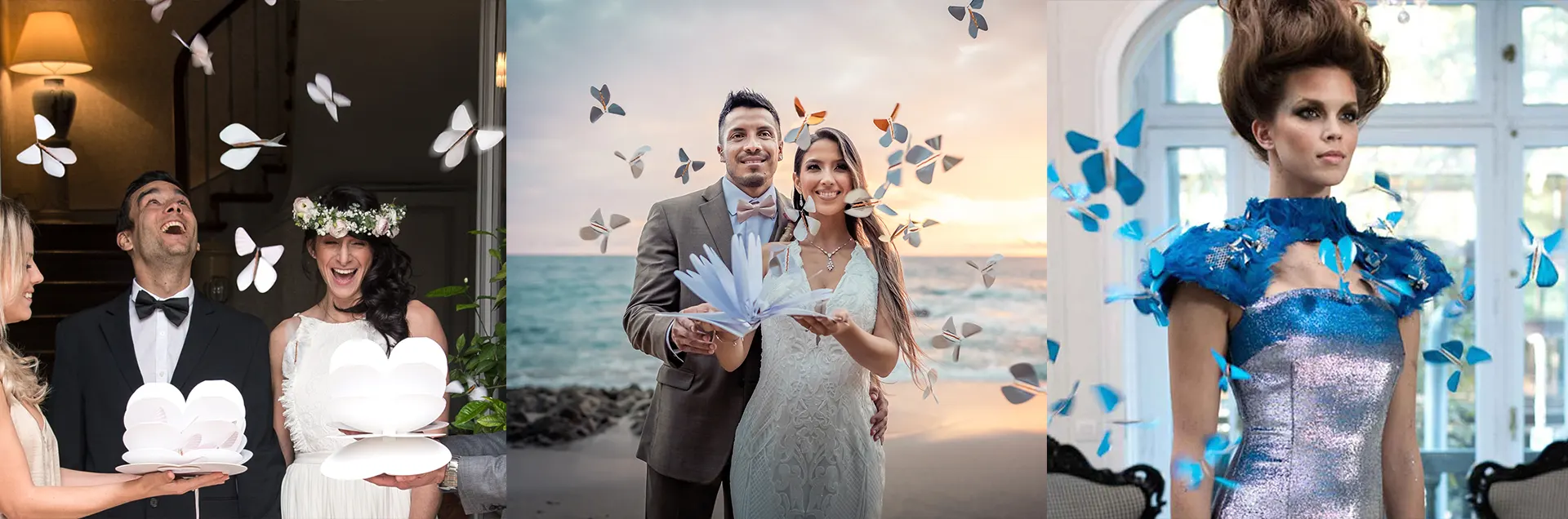 papillons magiques en action 1