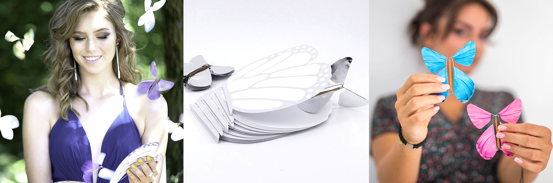 papillon magique en action 2