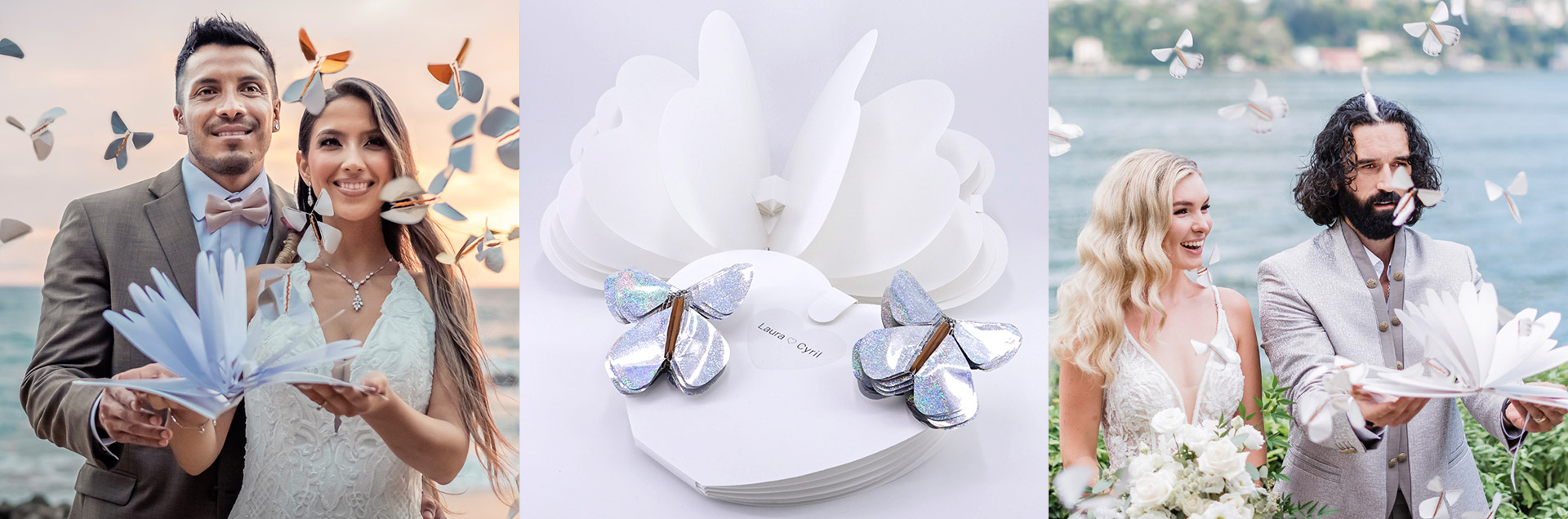 Papillon Magique en action 01