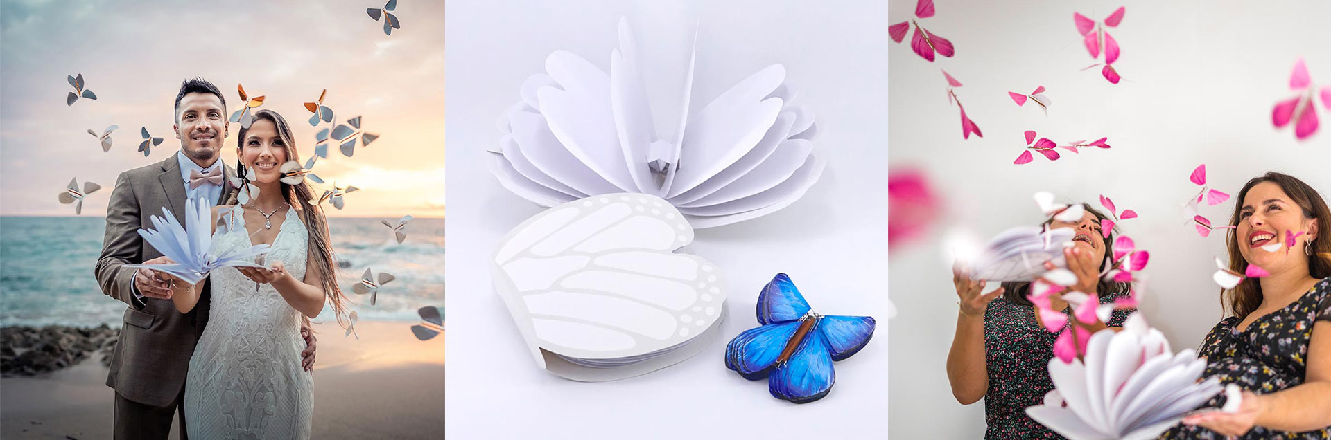 Papillon Magique en action 02